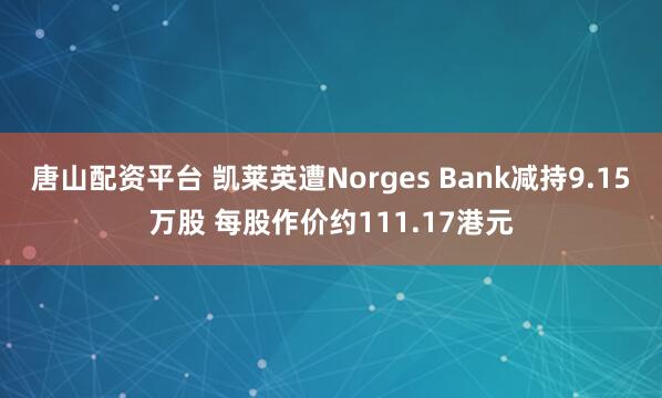 唐山配资平台 凯莱英遭Norges Bank减持9.15万股 每股作价约111.17港元
